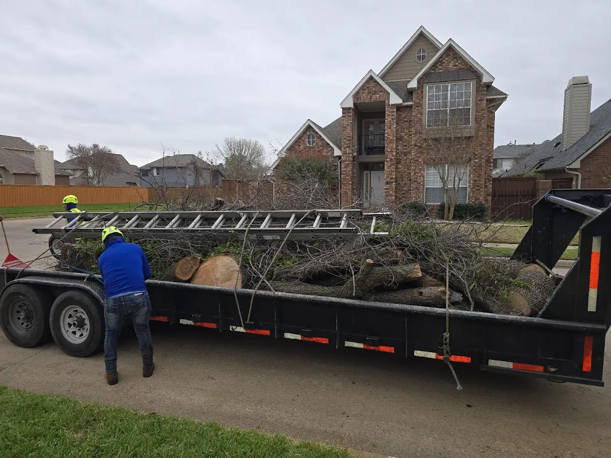 Expert Lot Clearing with proper safety equipment in Oldfield